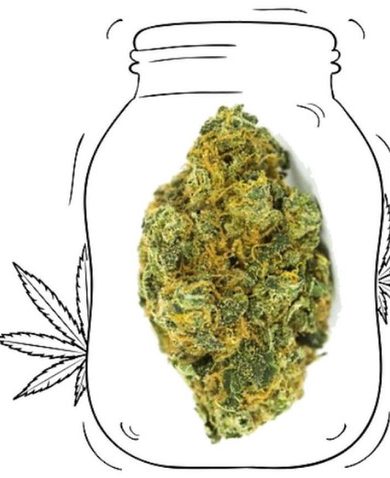 Acapulco gold