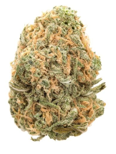 Acapulco Gold