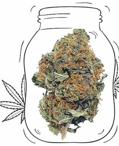 Banana Kush
