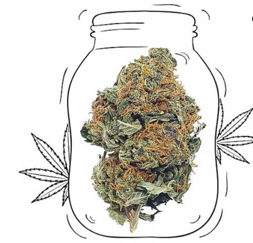 Banana Kush