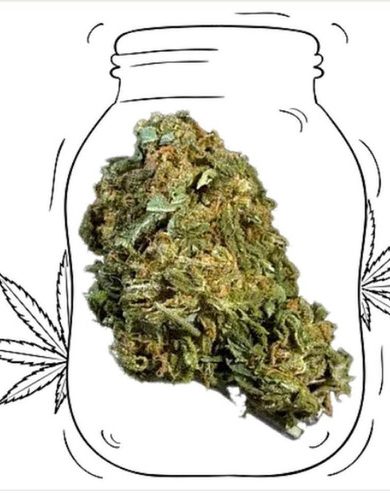 Blueberry Kush