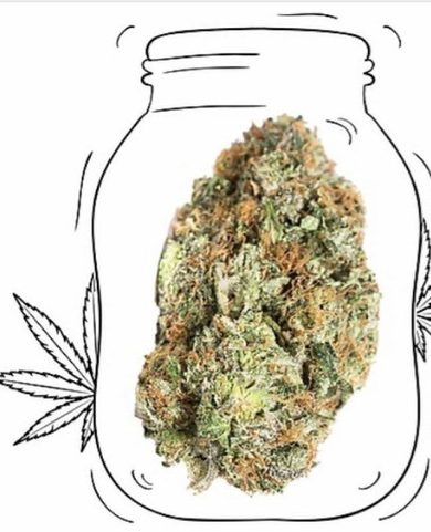 Bruce Banner #3