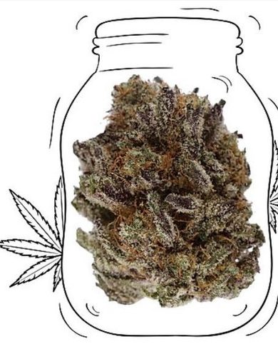 Chocolate Kush