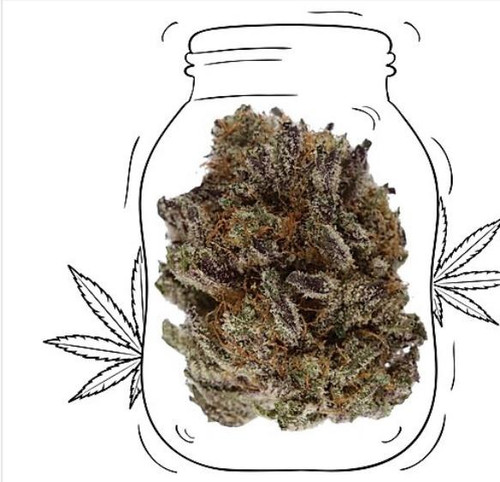 Chocolate Kush
