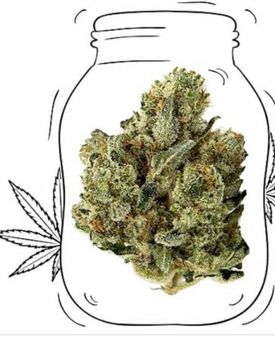 G G 4-Gorilla Glue