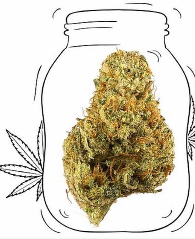 Gelato