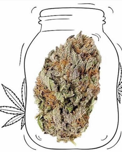 Gorilla glue