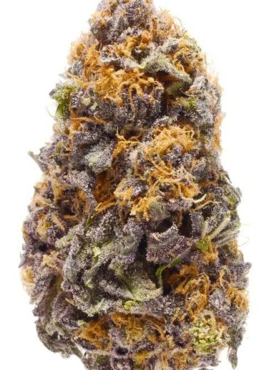 Granddaddy Purple