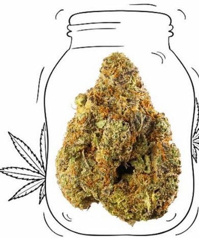 Jack herer