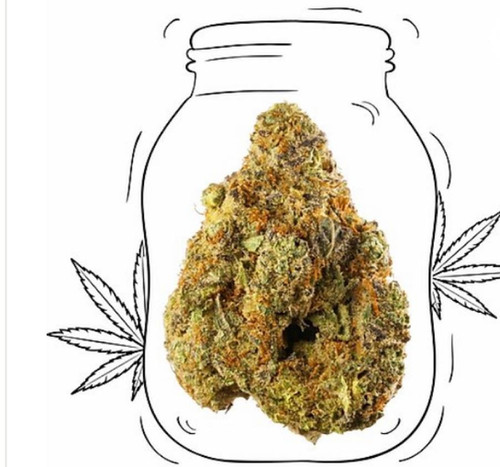 Jack herer