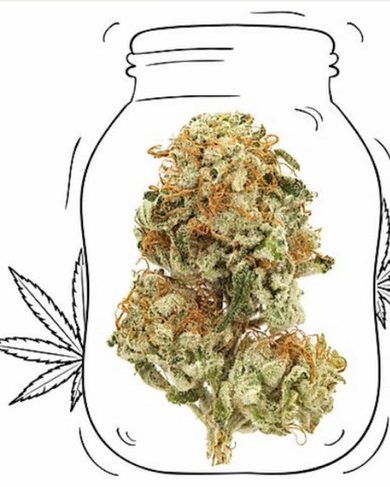 King Tut OG