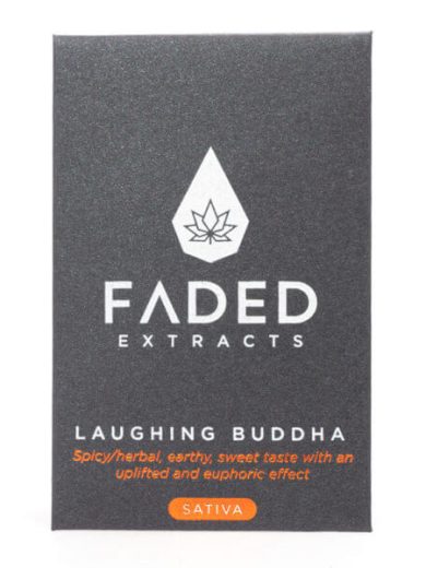 Laughing Buddha Shatter (Faded Extracts)