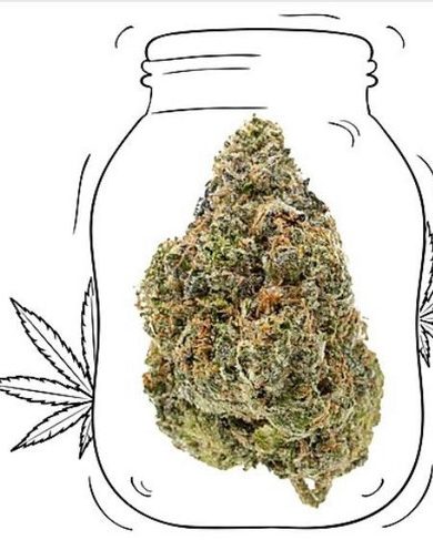 Northern lights