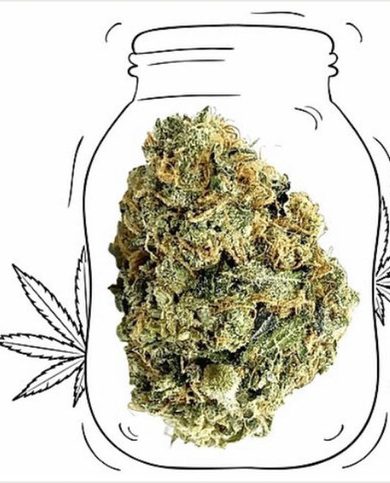 Og Kush