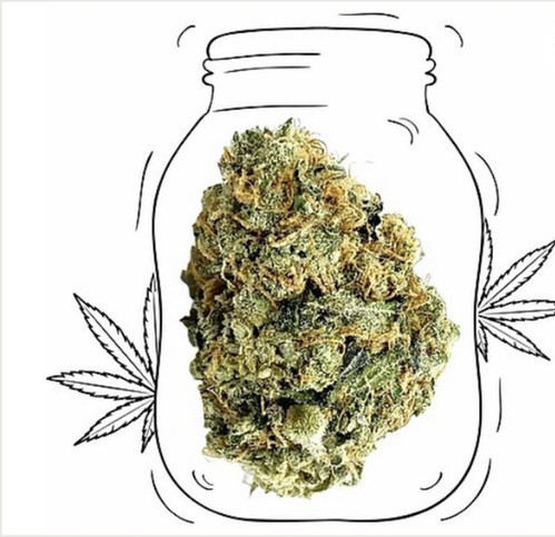 Og Kush