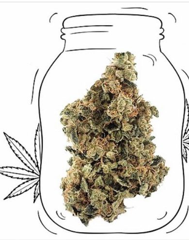 OG Shark