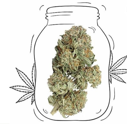 Organic OG Kush