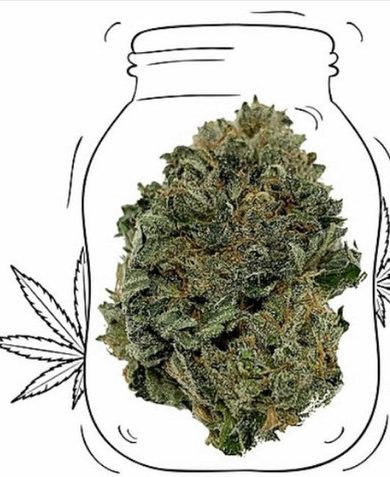 Original Gangster Kush (OG Kush)