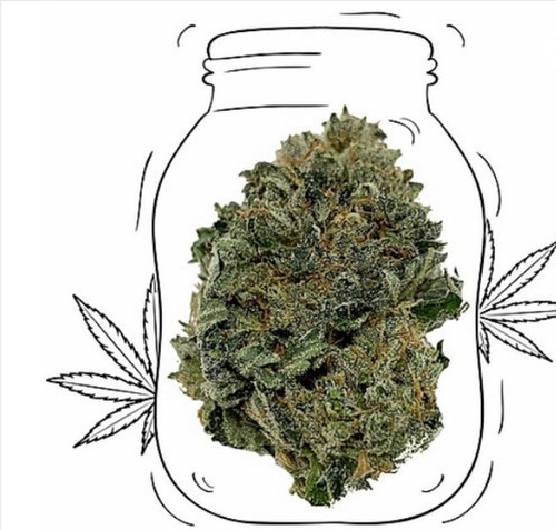 Original Gangster Kush (OG Kush)