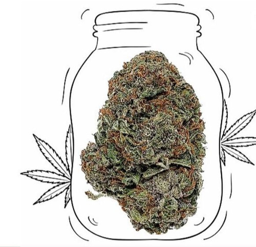 Purple kush