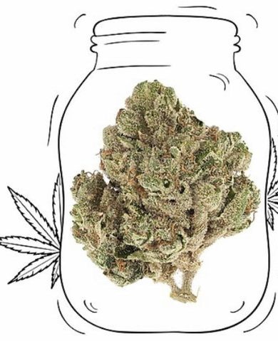 Rocket Fuel