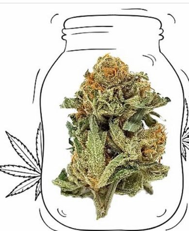 Sour Diesel