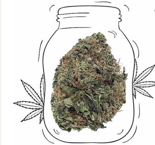 Sour Kush