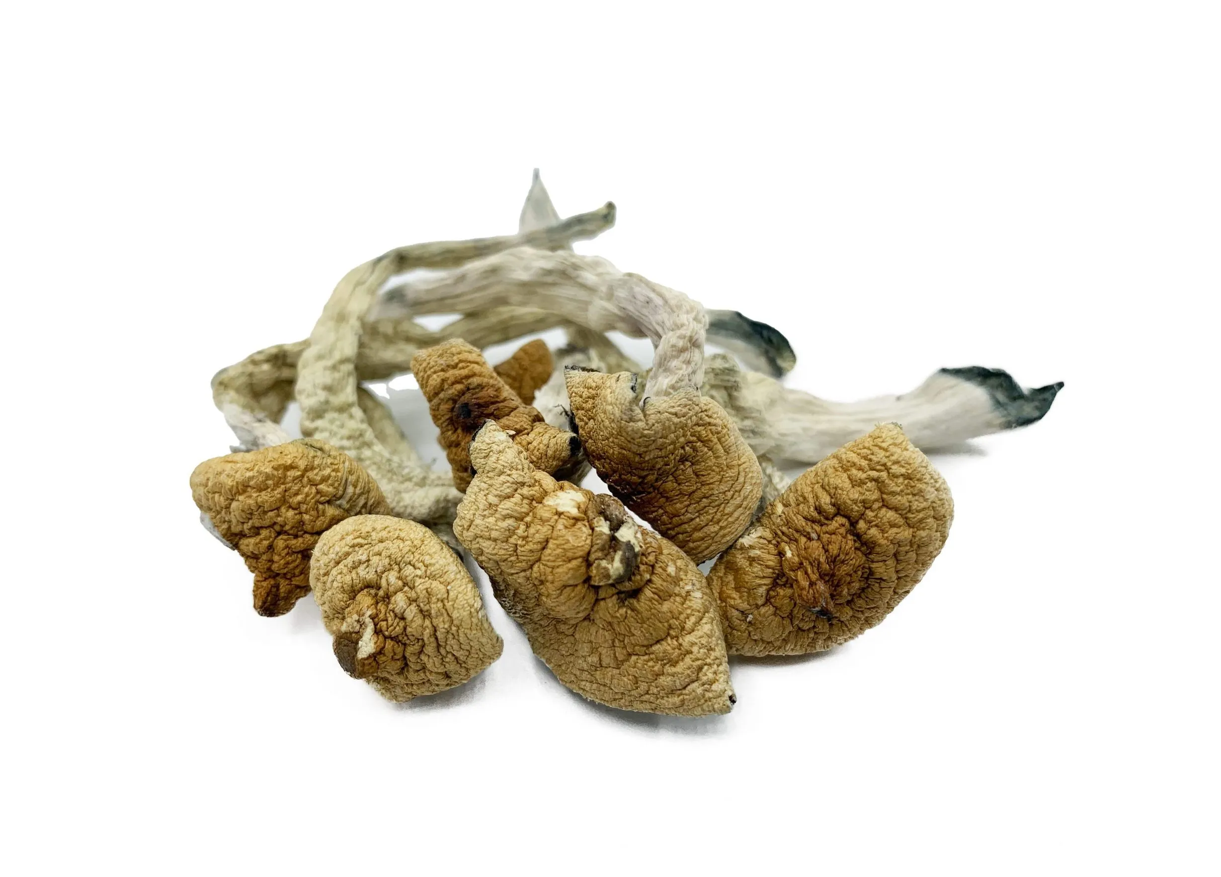 Big Mex Magic Mushrooms